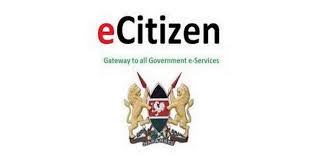 eCitizen and Government Services section image 4